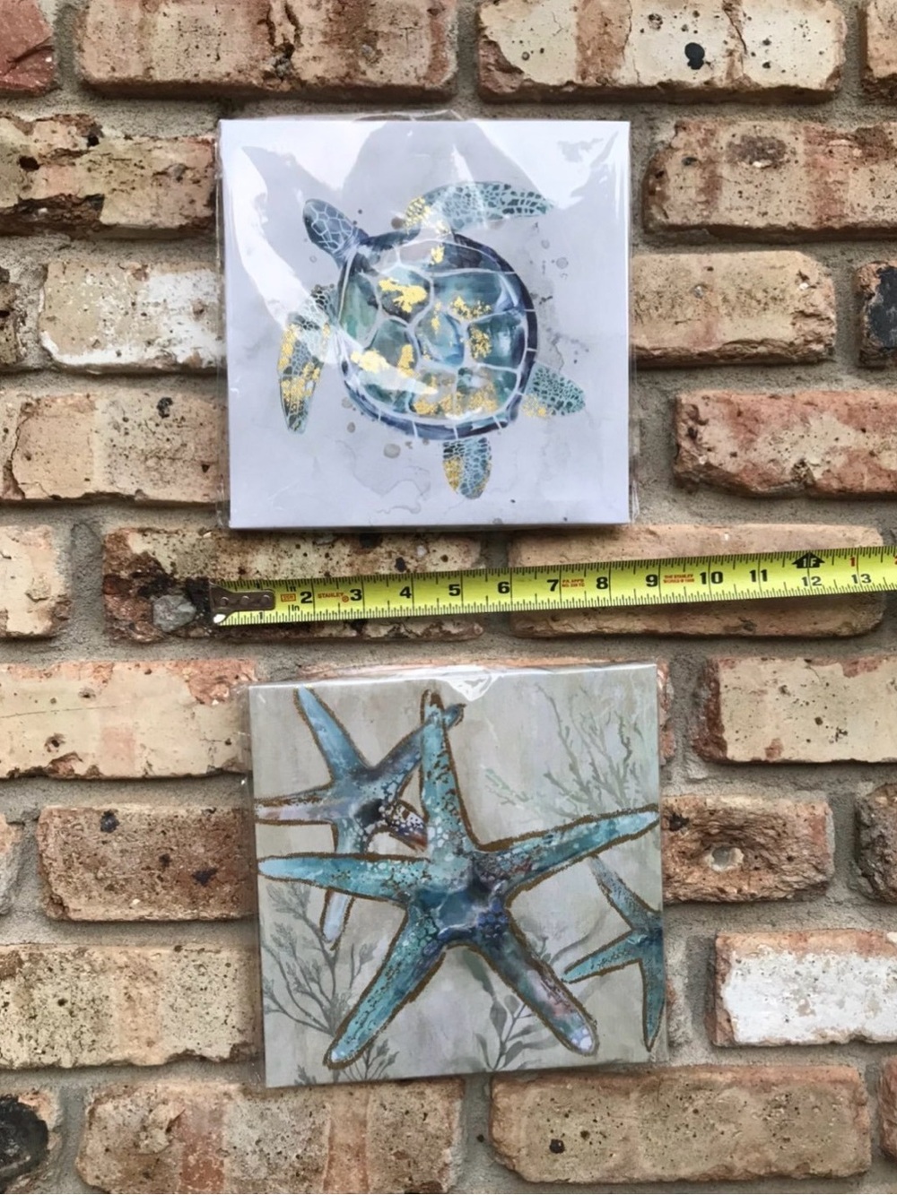 Coastal Turtle and Starfish Wall Art Set - Blue and Gold